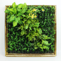 Top venta bricolaje removible arte 3D pared de café planta con follaje